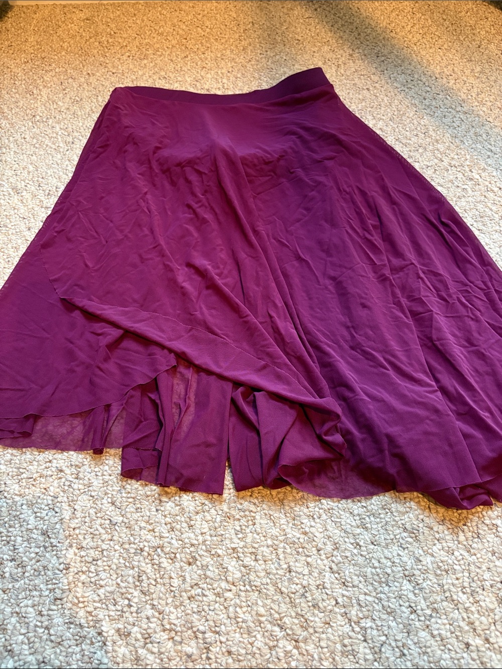 Dance skirt w elastic waist and attached dance trunks